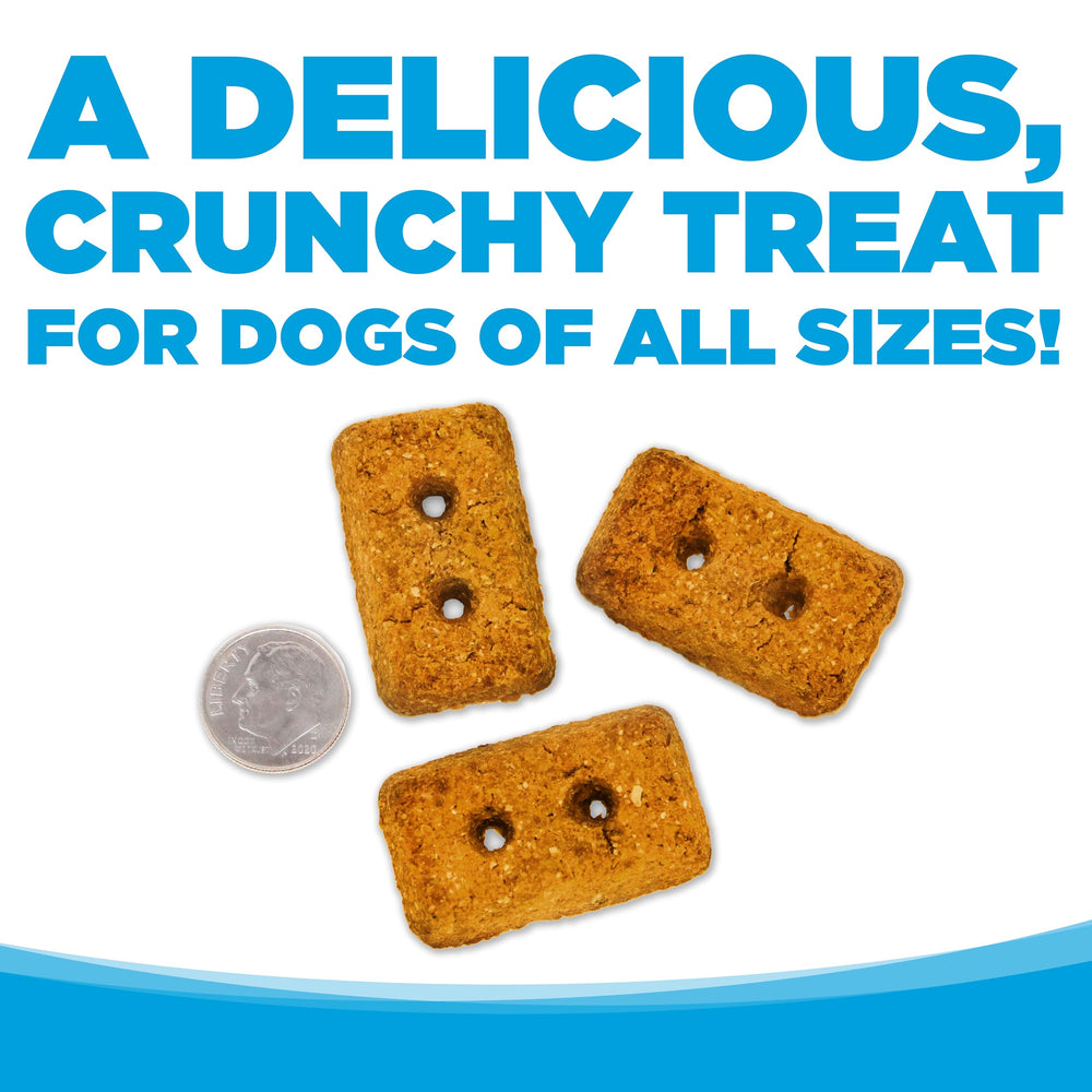 NutriSource treats dog snacking on the go photo highlights convenient grab-and-go reward.