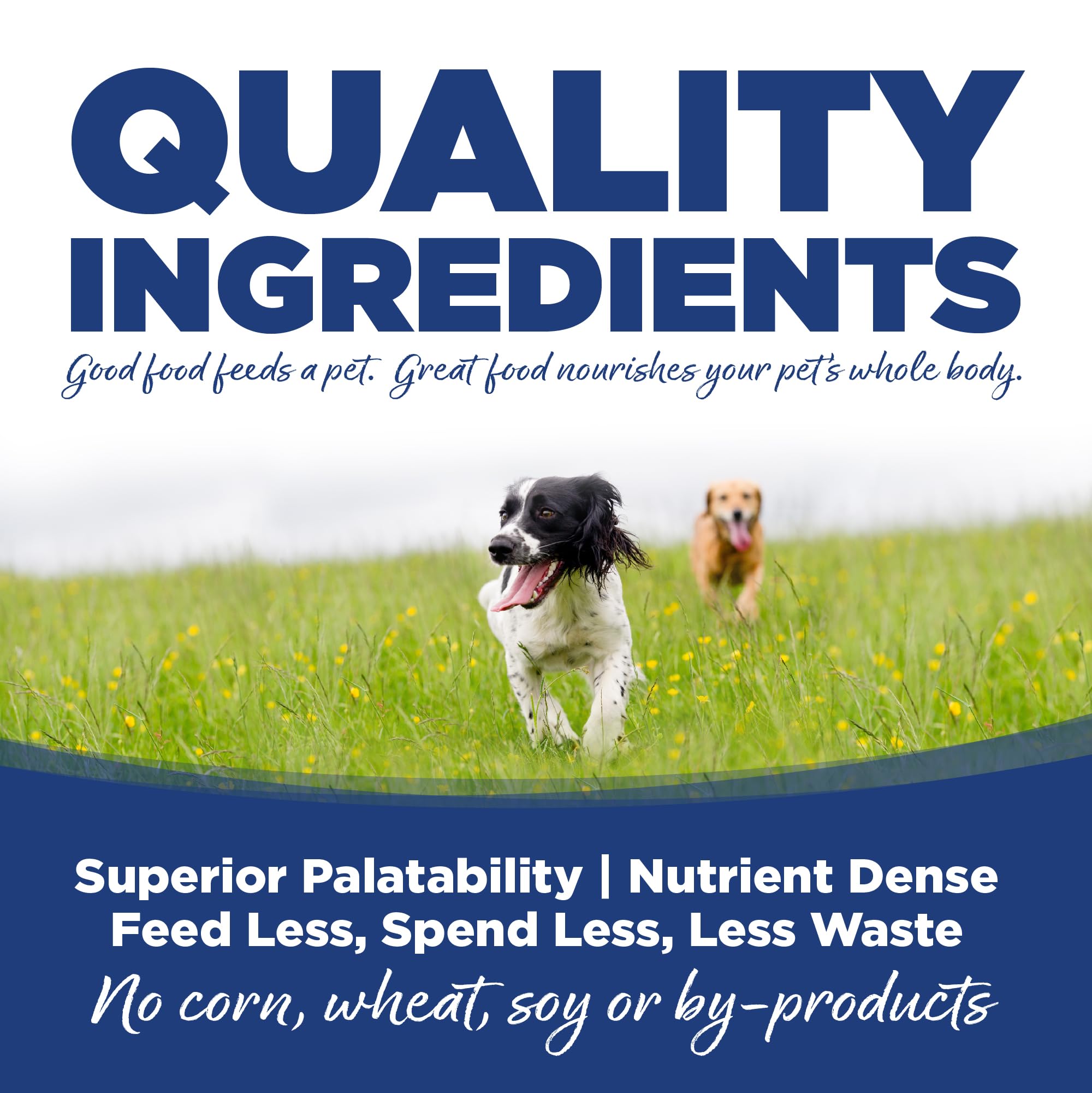 NutriSource Trout and Rice dry dog food in a bowl ready to serve a wholesome meal.