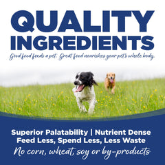 NutriSource Trout and Rice dry dog food in a bowl ready to serve a wholesome meal.