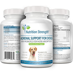 Nutrition Strength Adrenal Support for Dogs chewable tablets designed for convenient supplementation