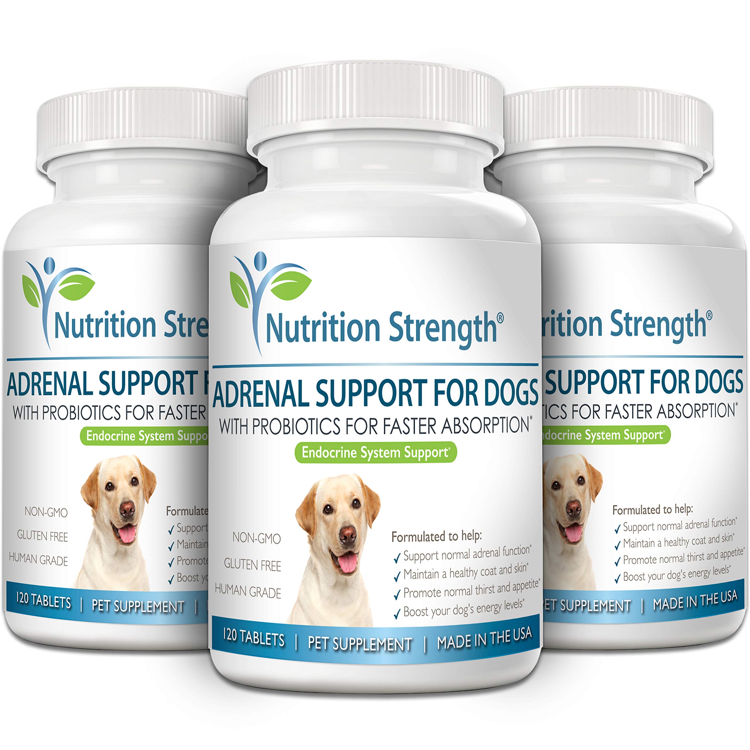 Nutrition Strength Adrenal Support for Dogs being mixed with meals for daily use