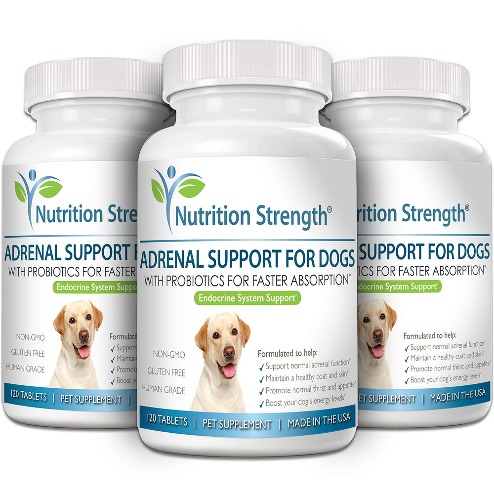 Nutrition Strength Adrenal Support for Dogs being mixed with meals for daily use