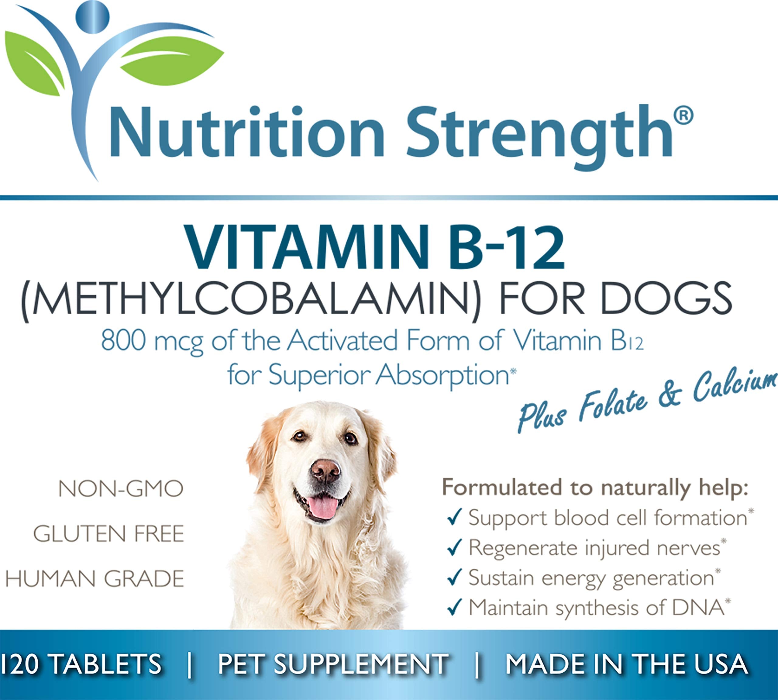 Nutrition Strength B12 folate calcium packaging on kitchen counter