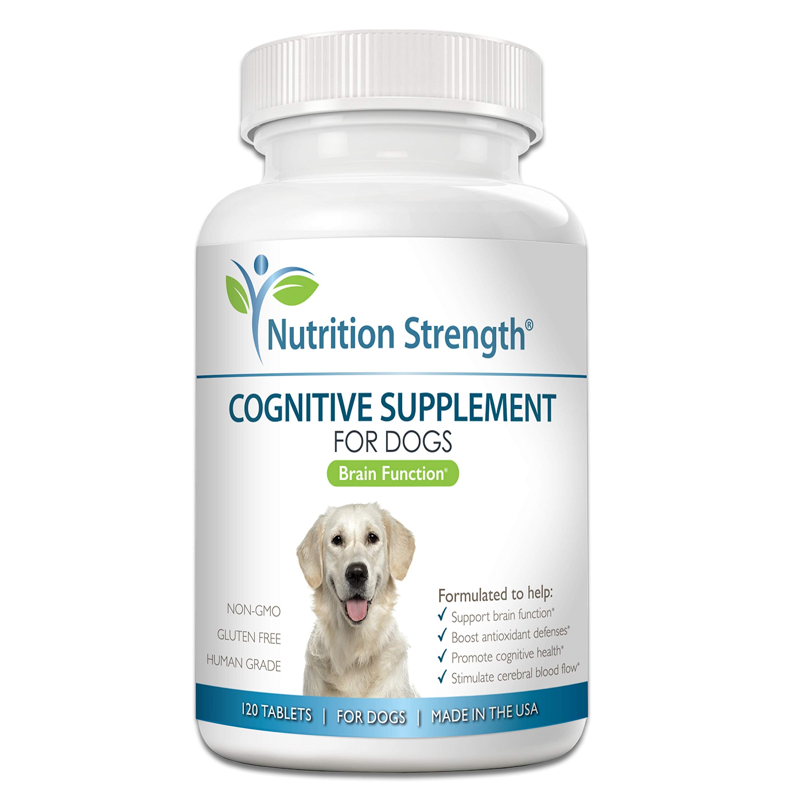 Nutrition Strength canine-brain-support chews close-up, helping aging dogs stay mentally engaged.