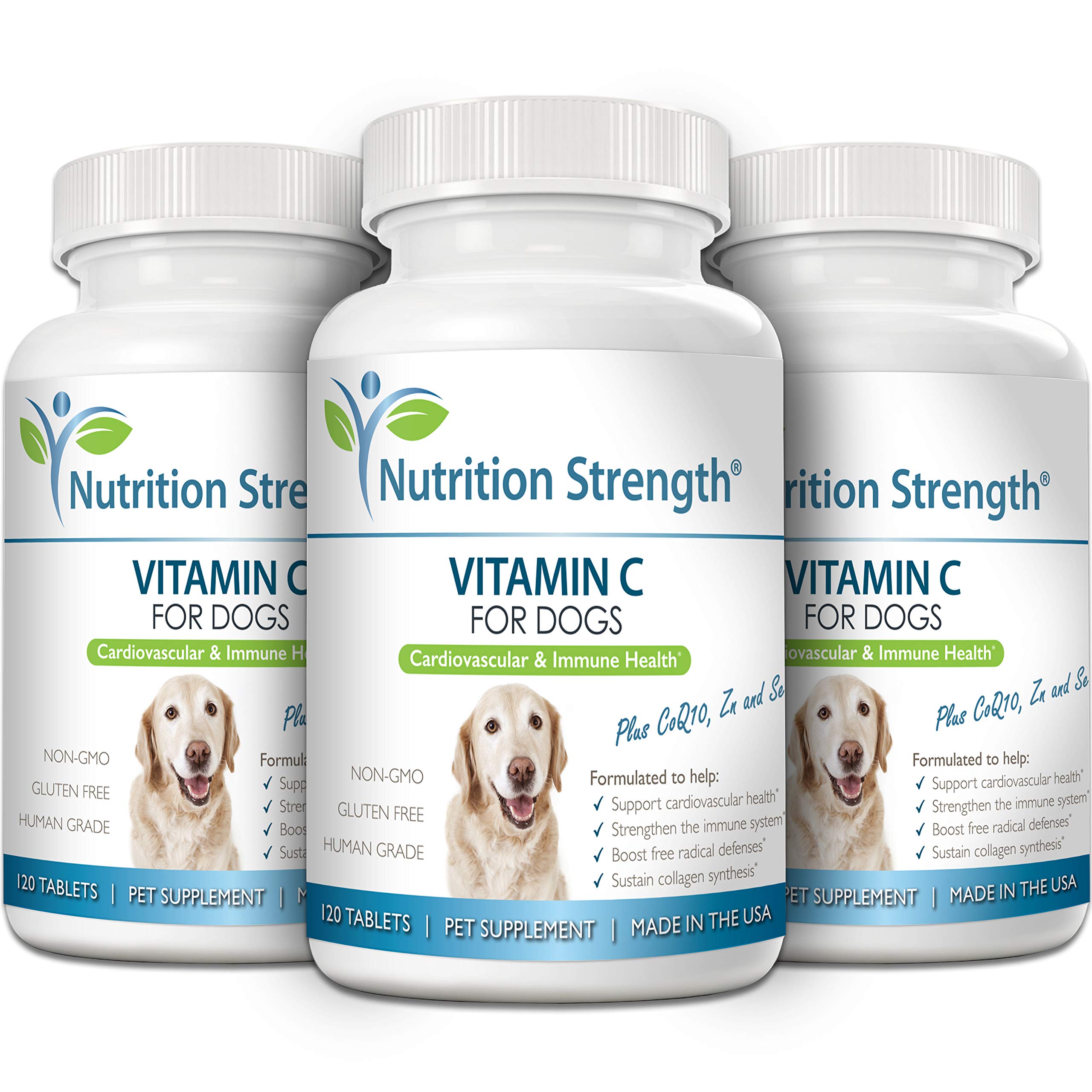 Nutrition Strength chewables support collagen synthesis and connective tissue in dogs