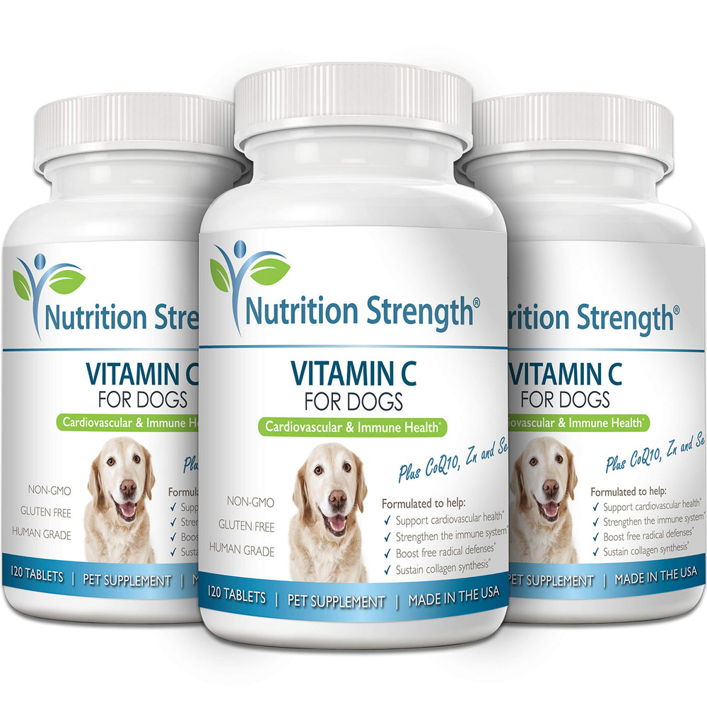 Nutrition Strength chewables support collagen synthesis and connective tissue in dogs