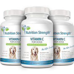 Nutrition Strength chewables support collagen synthesis and connective tissue in dogs