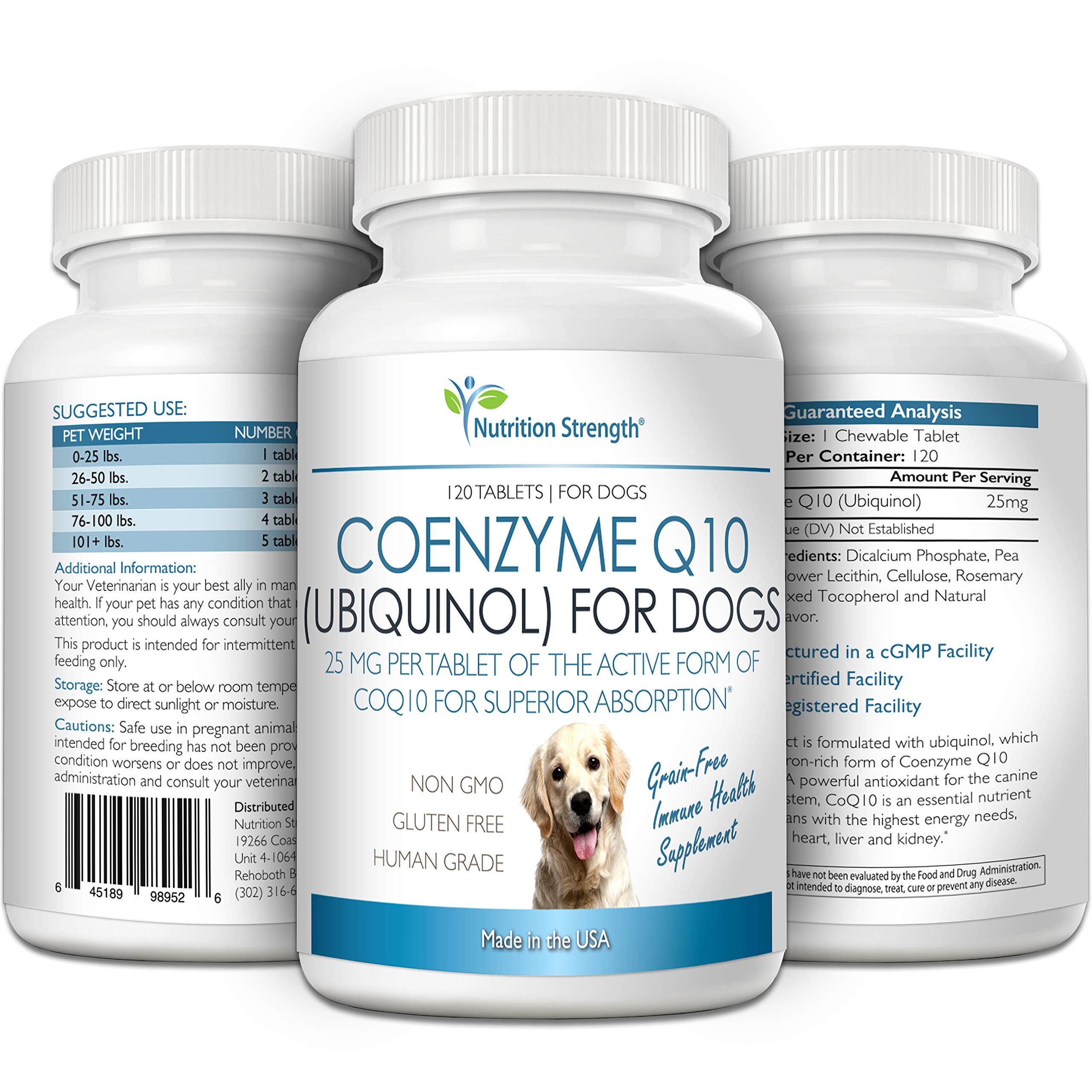 Nutrition Strength CoQ10 for Dogs energy-walk scene suggests everyday vitality and sustained activity.