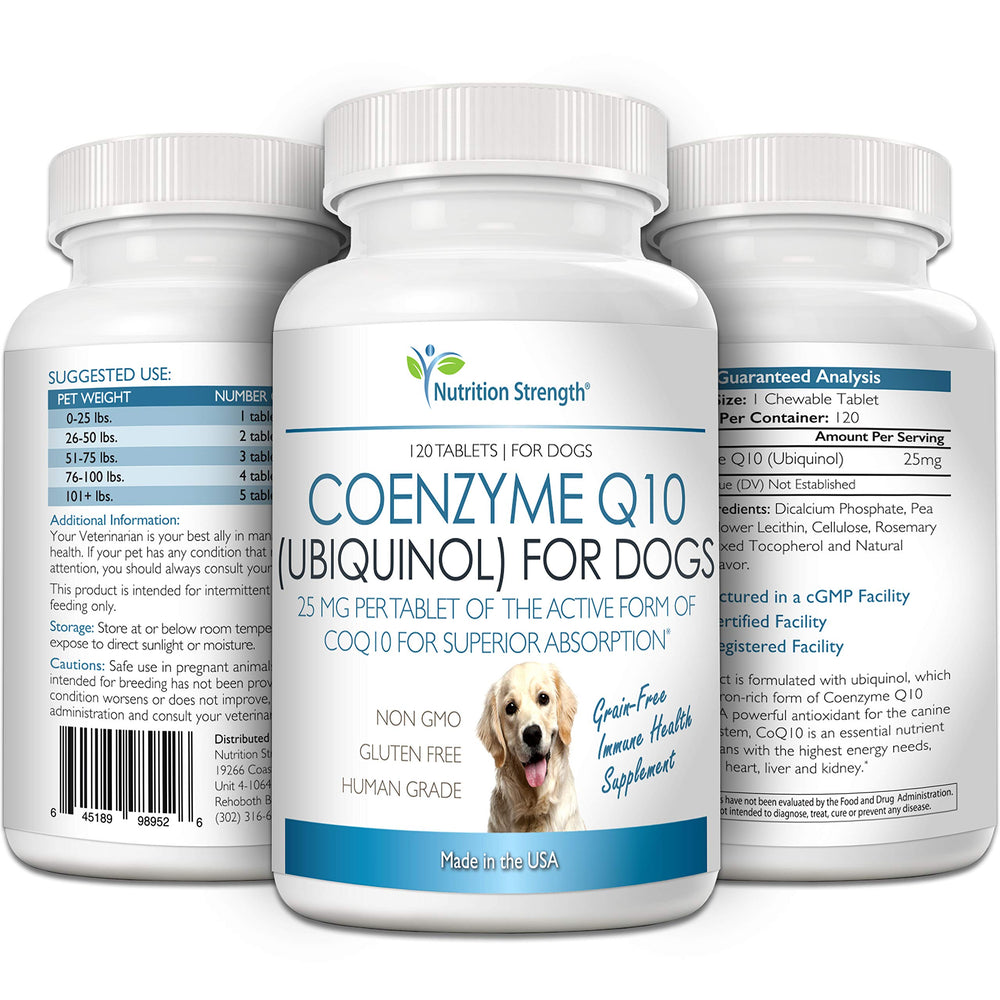 Nutrition Strength CoQ10 for Dogs energy-walk scene suggests everyday vitality and sustained activity.