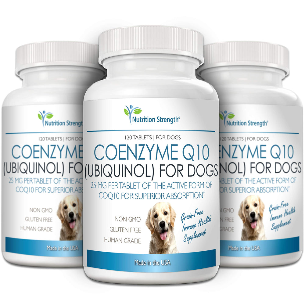 Nutrition Strength CoQ10 for Dogs USA-made label signals high-quality, safe canine supplement.