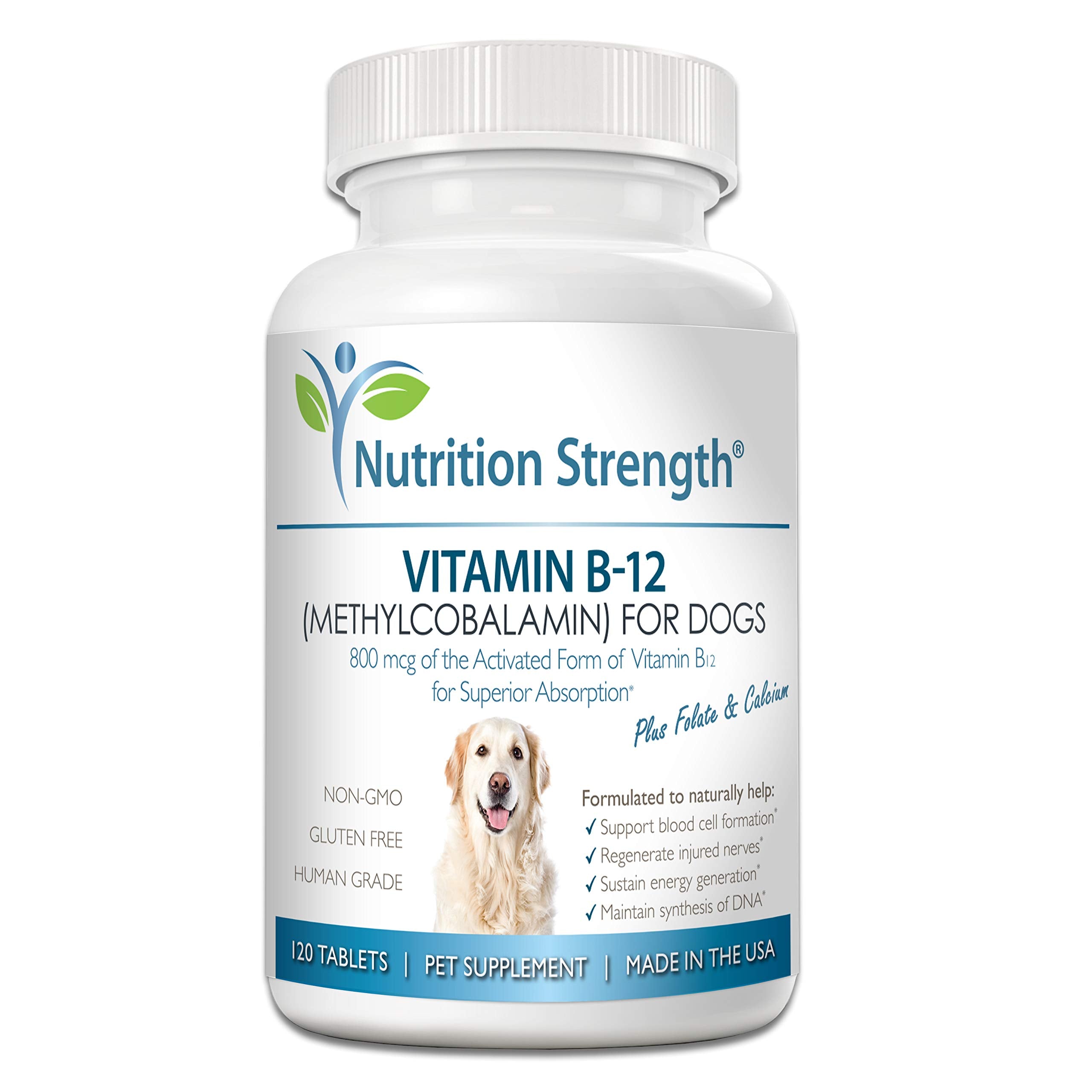 Nutrition Strength dog B12 bottle front showing energy support for dogs
