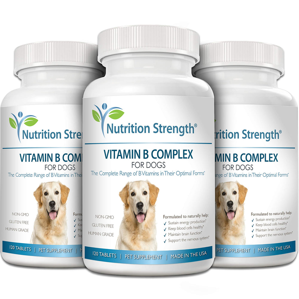 Nutrition Strength B vitamins for dogs supporting cardiovascular and metabolic function