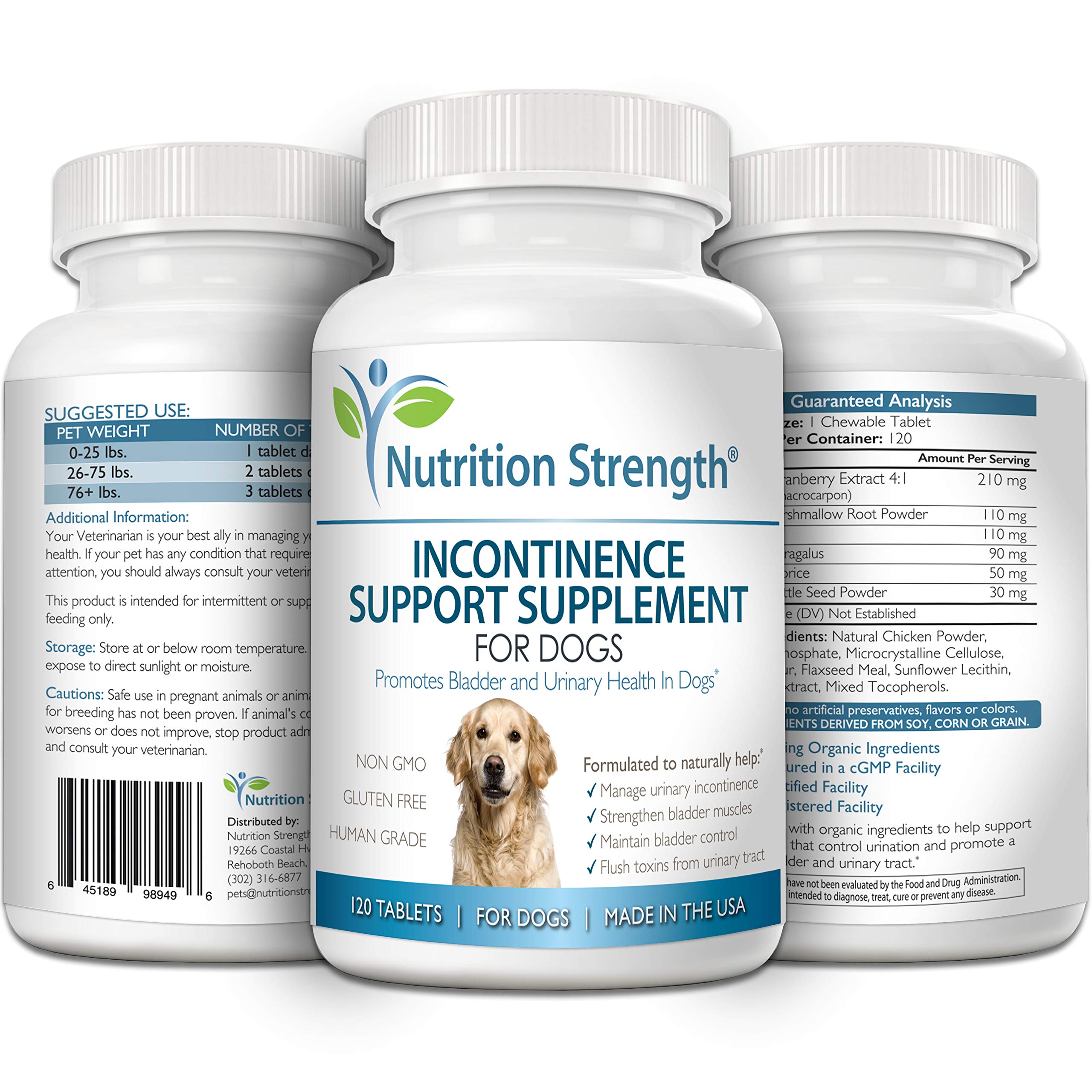 Nutrition Strength dog incontinence daily-use senior dog shows versatile use across ages.