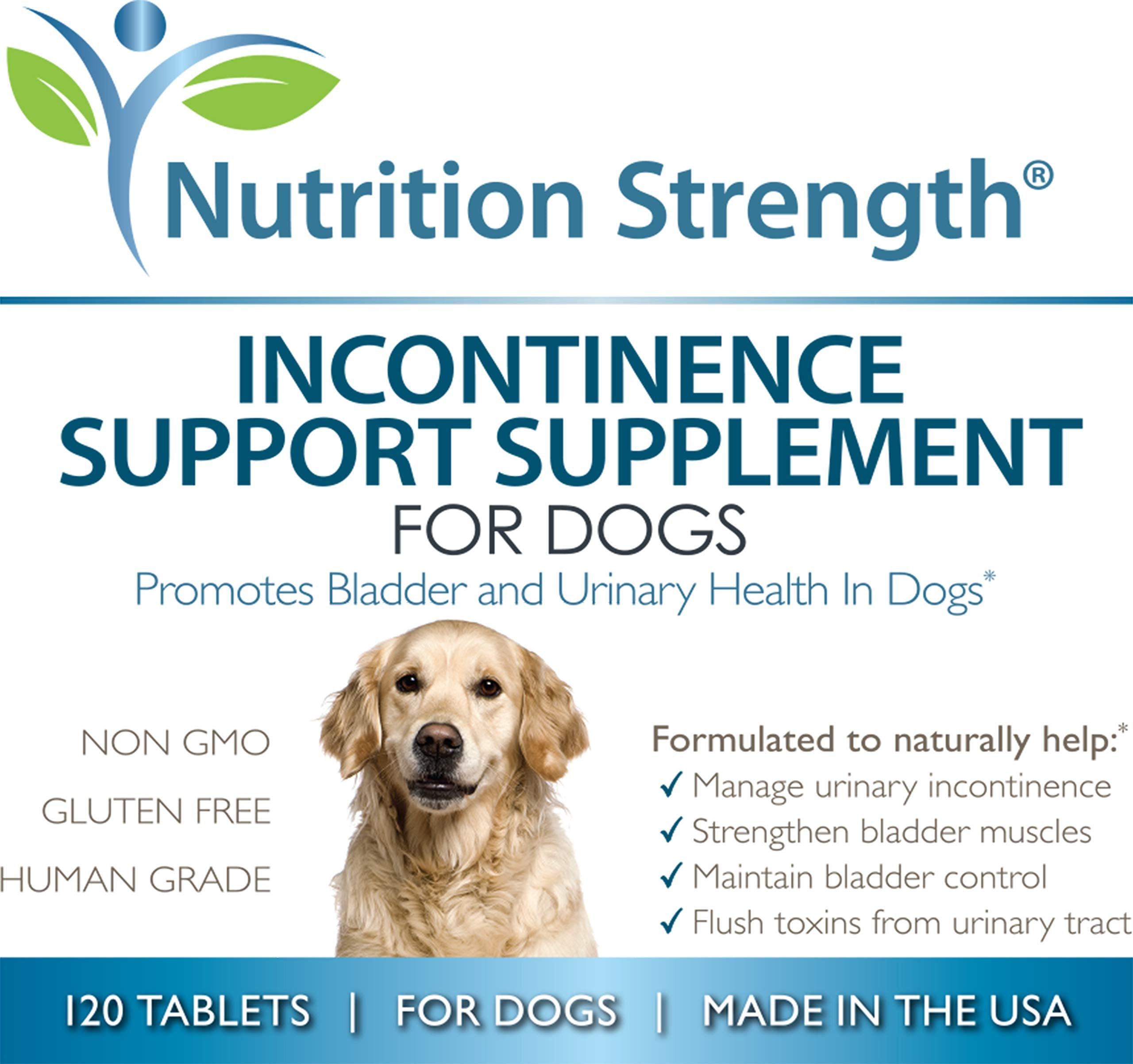 Nutrition Strength dog incontinence health urinary-flow closeup emphasizes inflammation relief potential.
