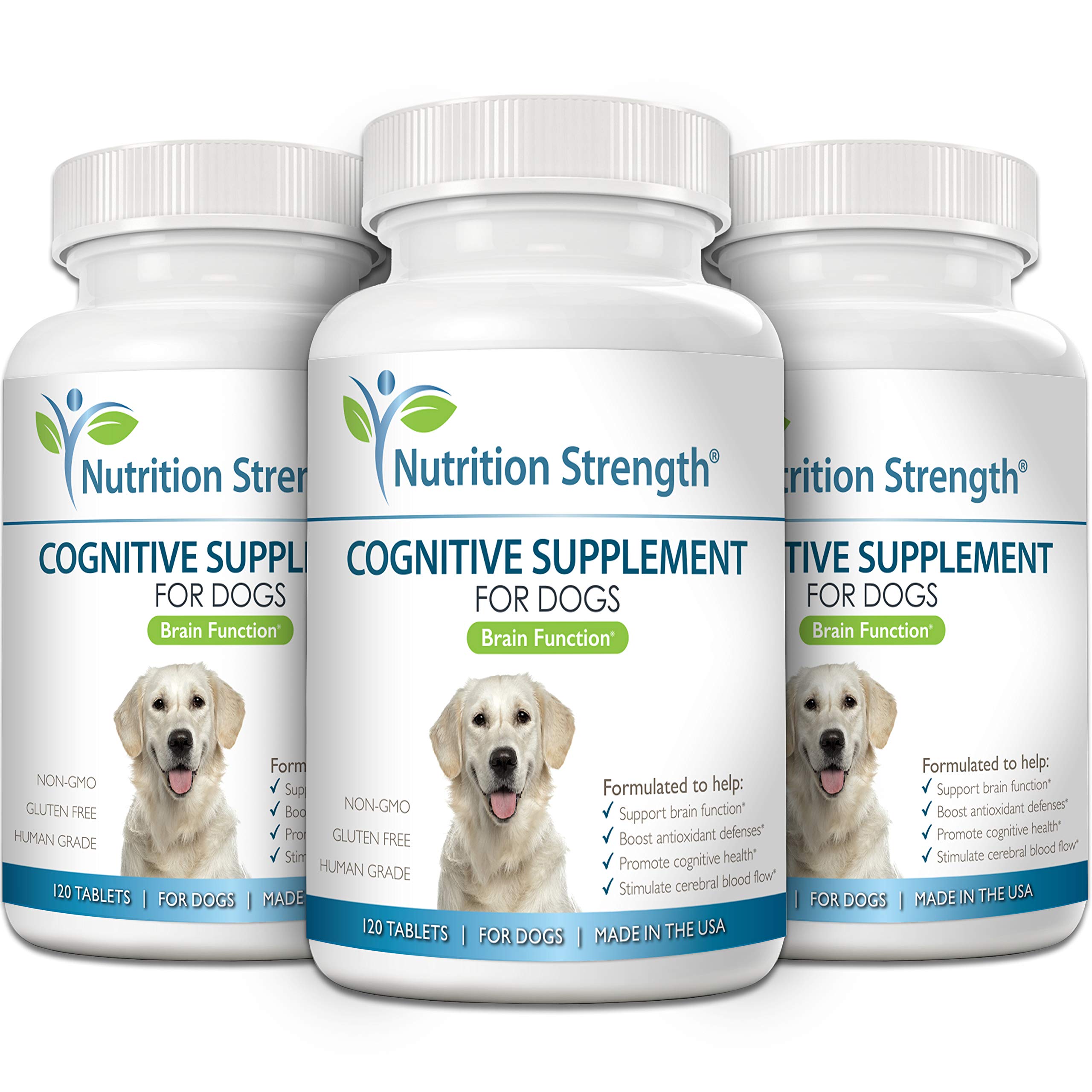 Nutrition Strength dog-mental-stimulation chews in hand demonstrate tasty support for focus.
