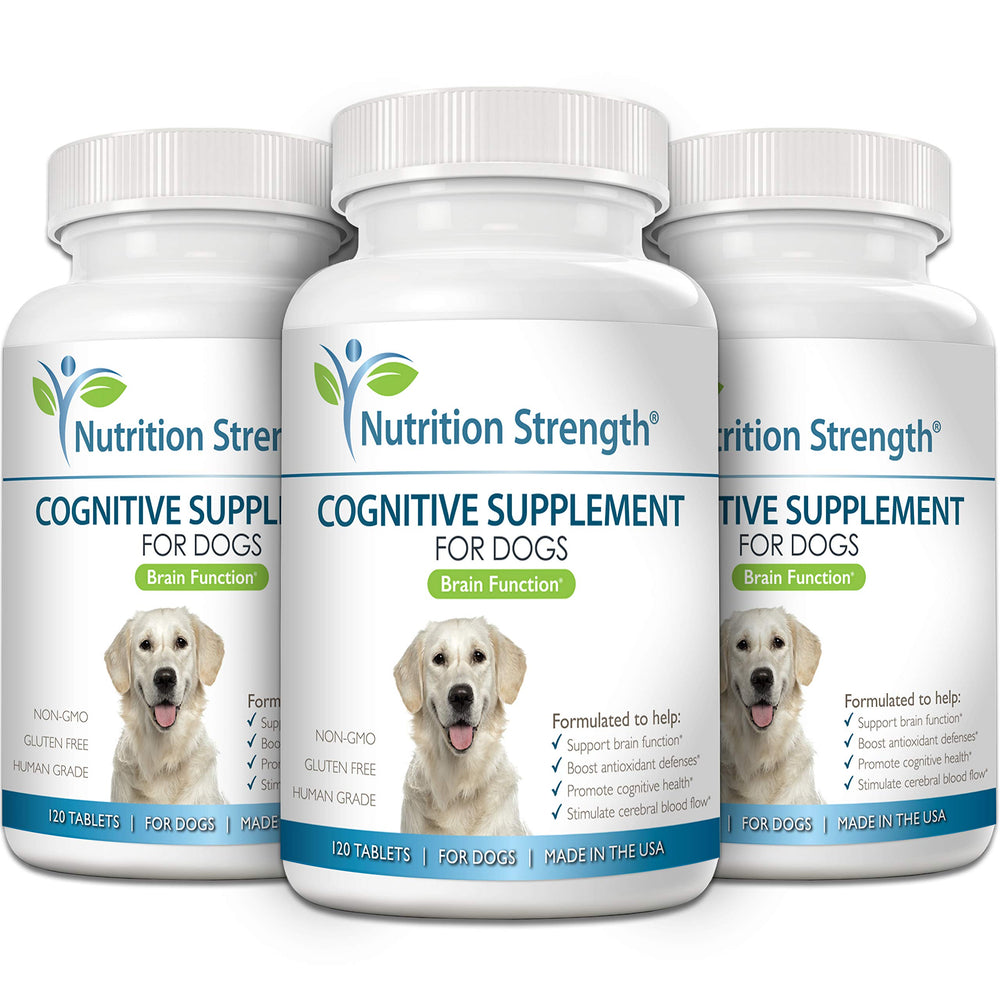 Nutrition Strength dog-mental-stimulation chews in hand demonstrate tasty support for focus.