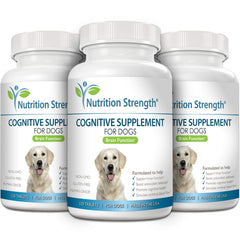 Nutrition Strength dog-mental-stimulation chews in hand demonstrate tasty support for focus.