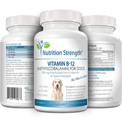 Nutrition Strength dog supplement dispensed scene for convenient use