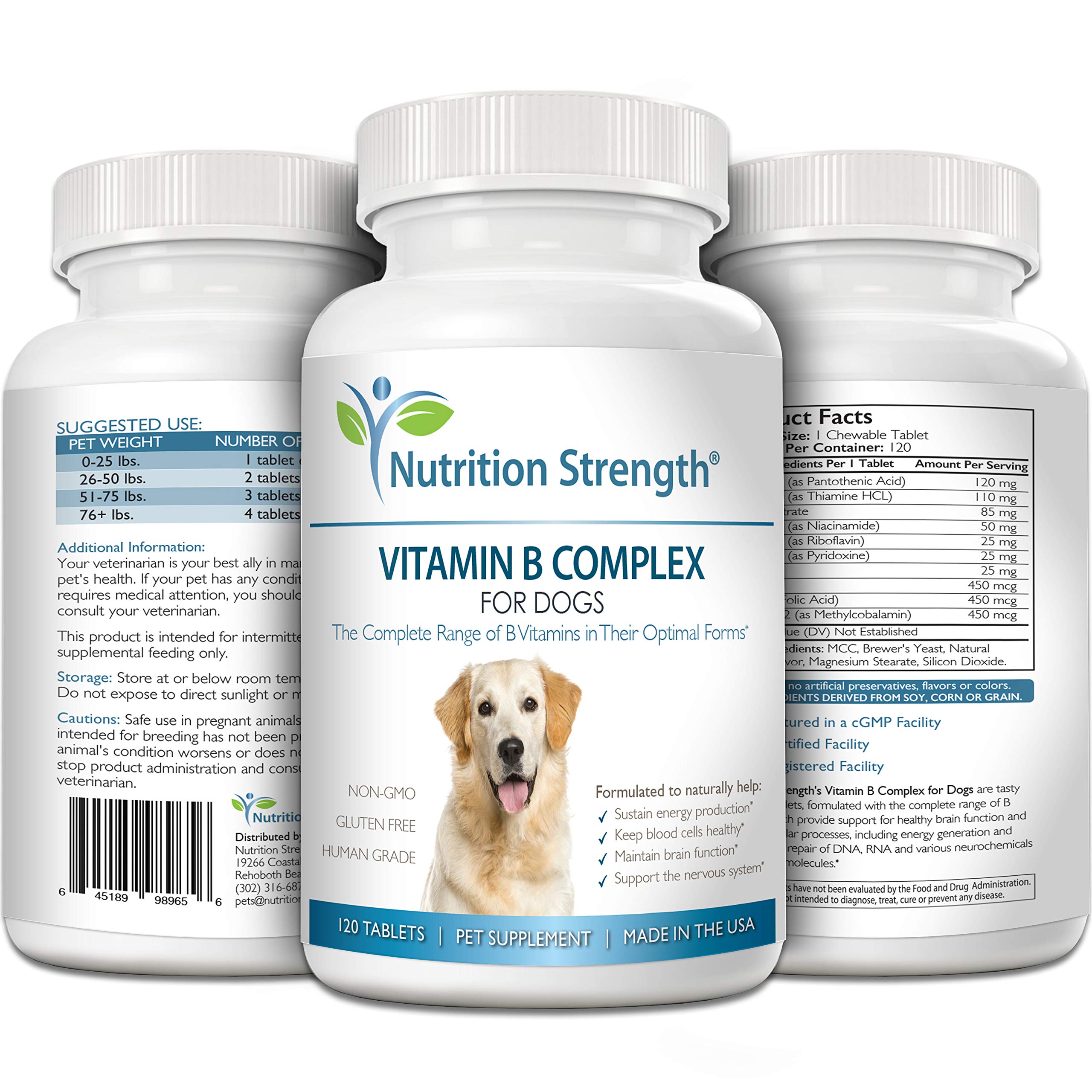 Nutrition Strength dog energy support via cellular production of energy