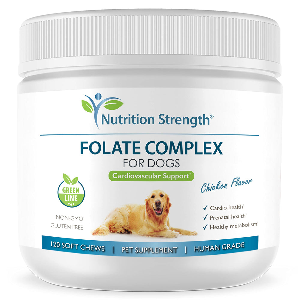 Nutrition Strength Folate for Dogs bottle label showing cardiovascular support chews