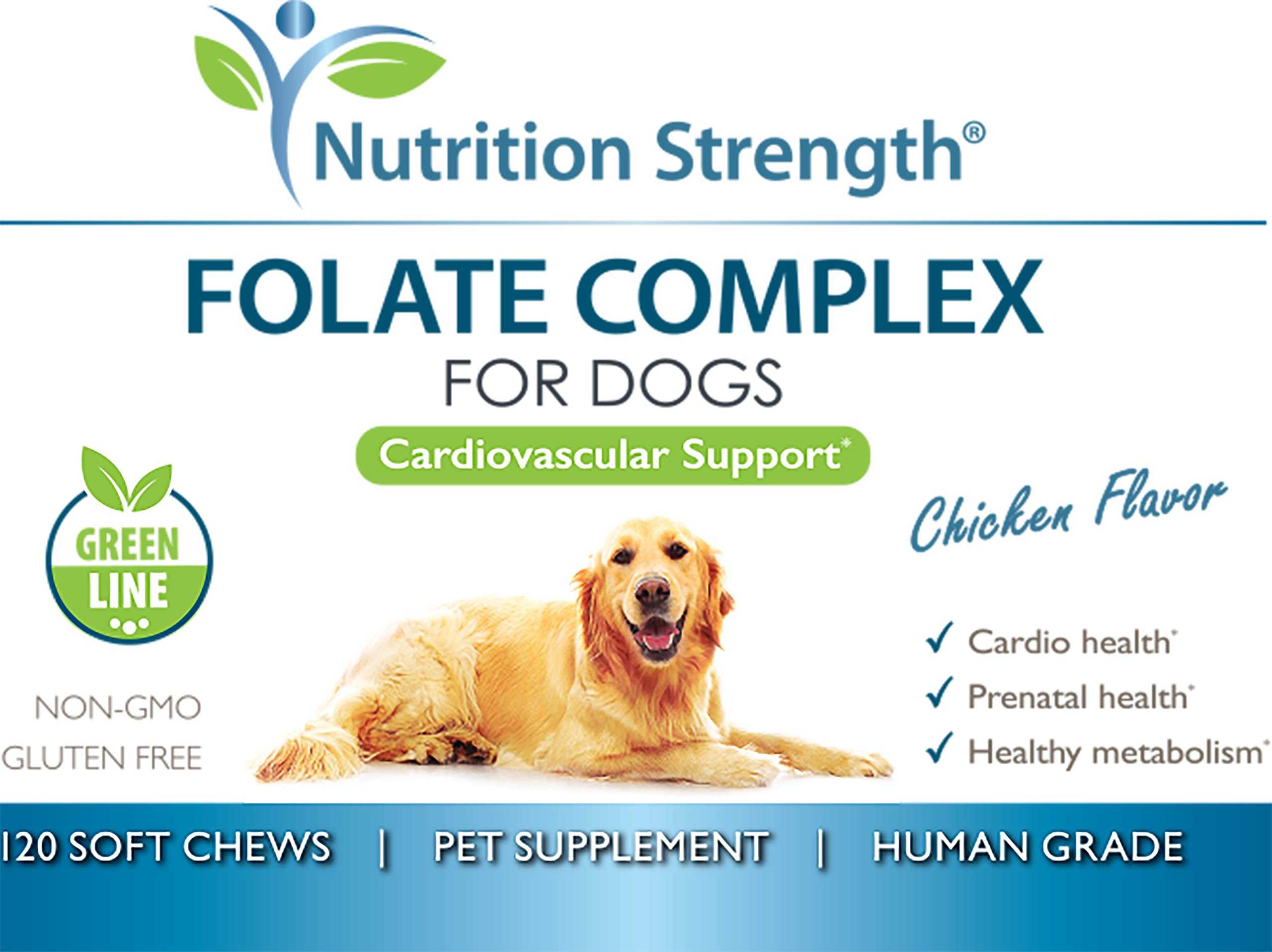 Nutrition Strength Folate for Dogs ingredients panel highlights zinc biotin iron and B12