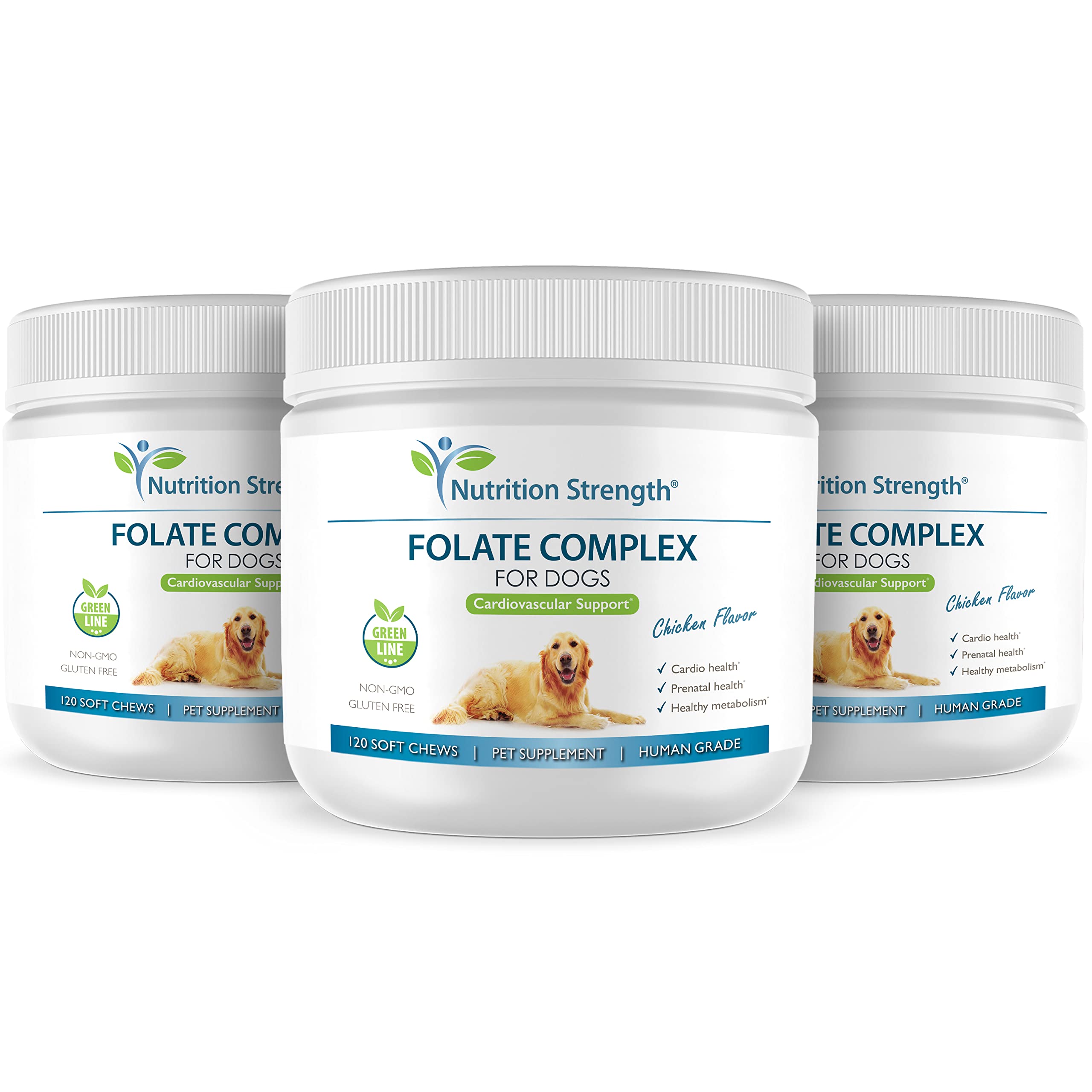 Nutrition Strength Folate for Dogs pet with chews supports daily wellness and heart health potential