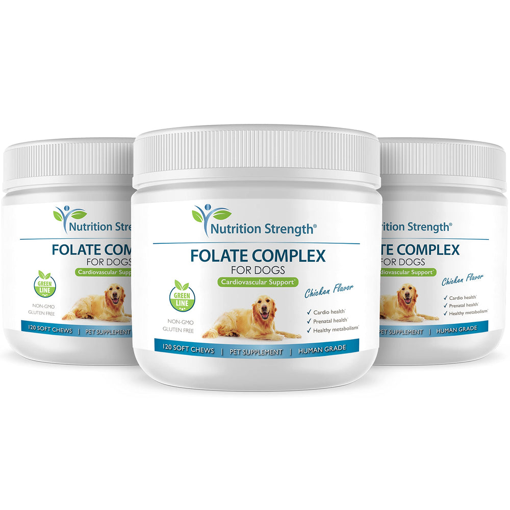 Nutrition Strength Folate for Dogs pet with chews supports daily wellness and heart health potential