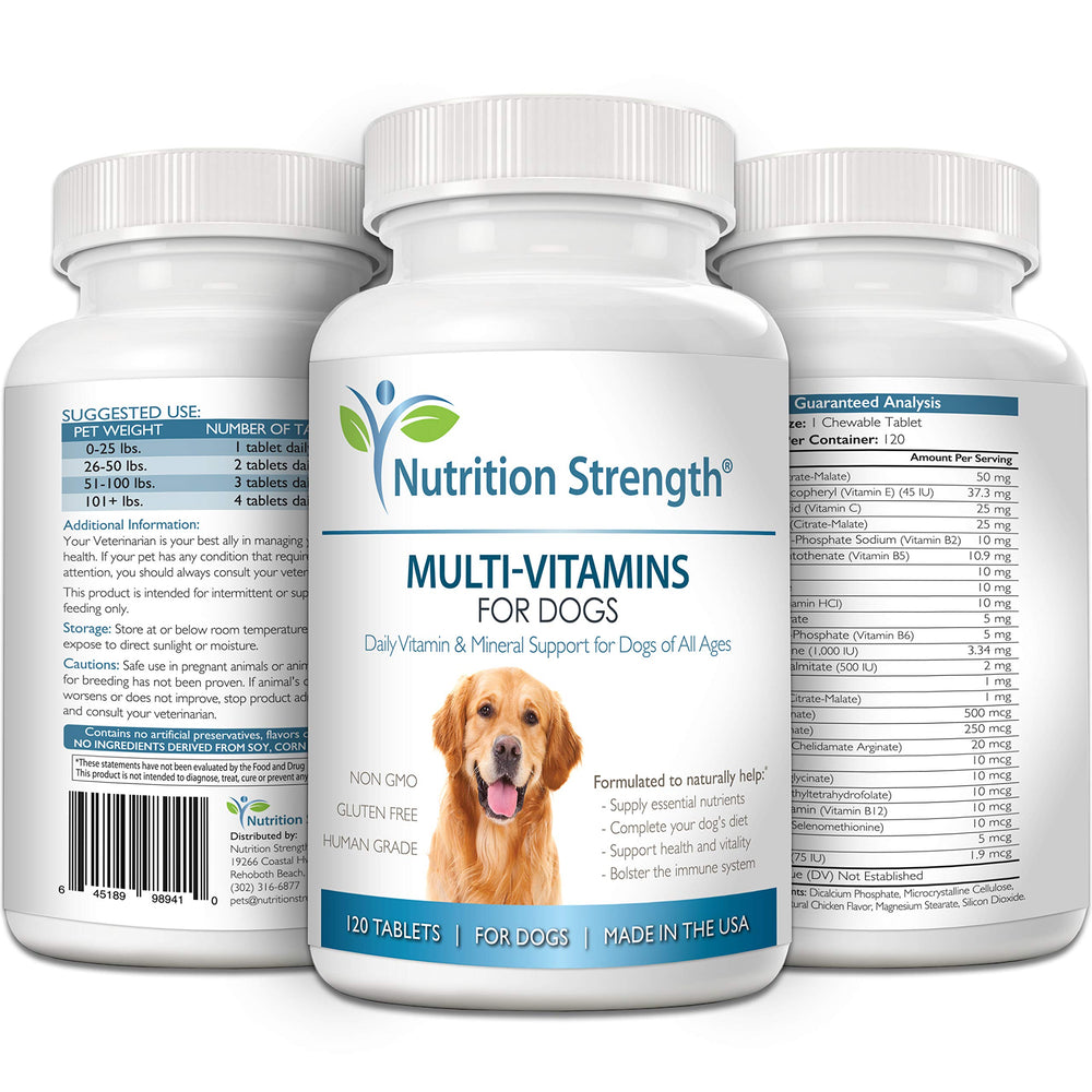 Nutrition Strength supports immune health in pets through daily nutrition.