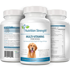 Nutrition Strength supports immune health in pets through daily nutrition.