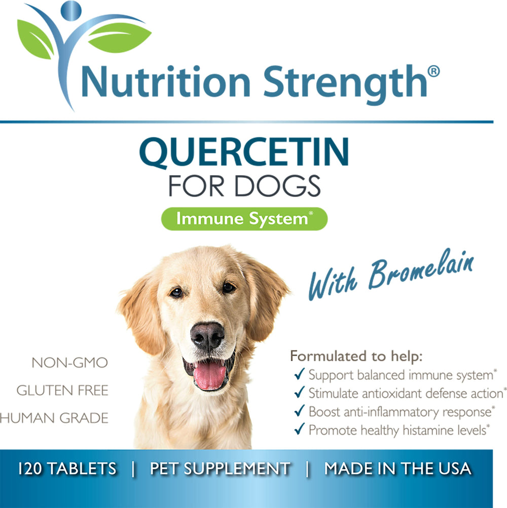 Nutrition Strength quercetin for dogs with bromelain dog enjoying a chew implies palatable support.