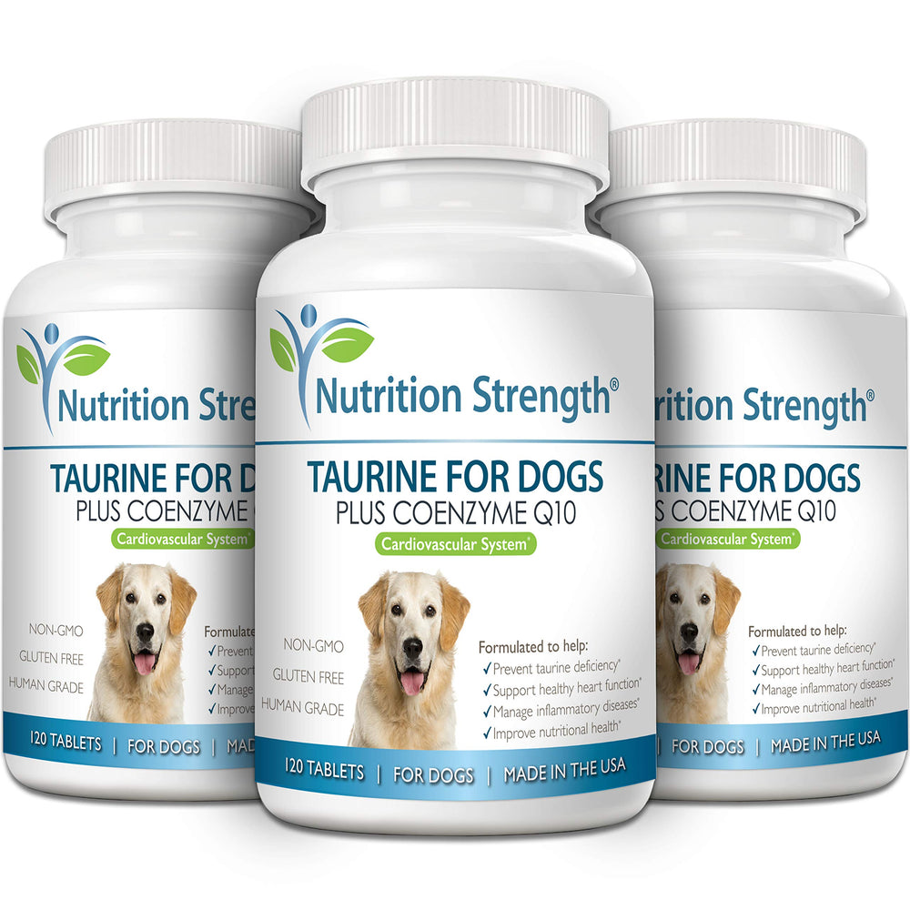 Nutrition Strength Taurine for Dogs dog-friendly serving with food demonstrates easy daily administration.
