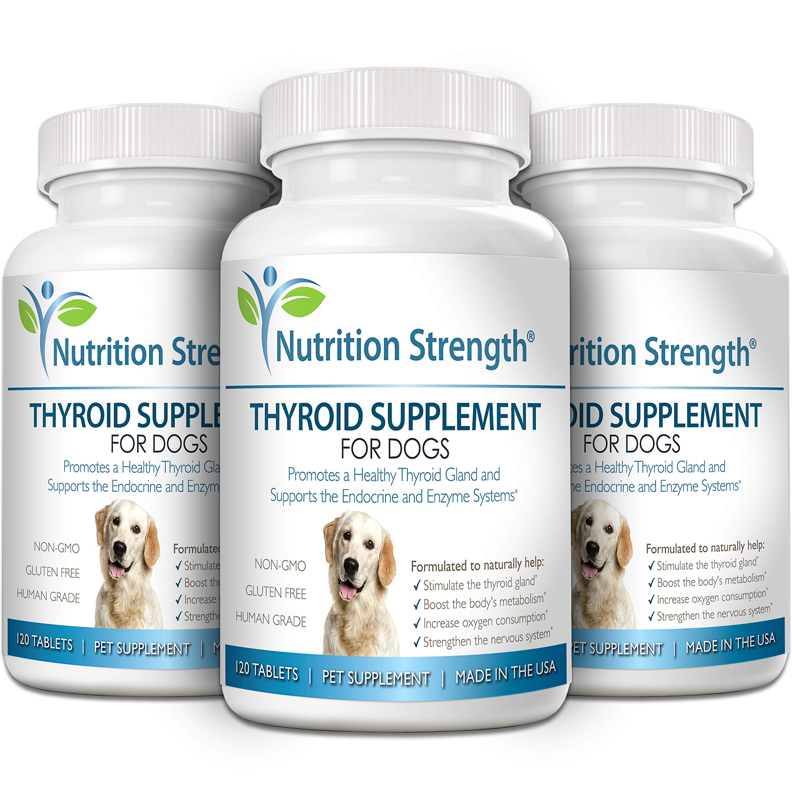 Nutrition Strength Thyroid dog ingredients blend highlights bladderwrack and adaptogens for balanced hormones.