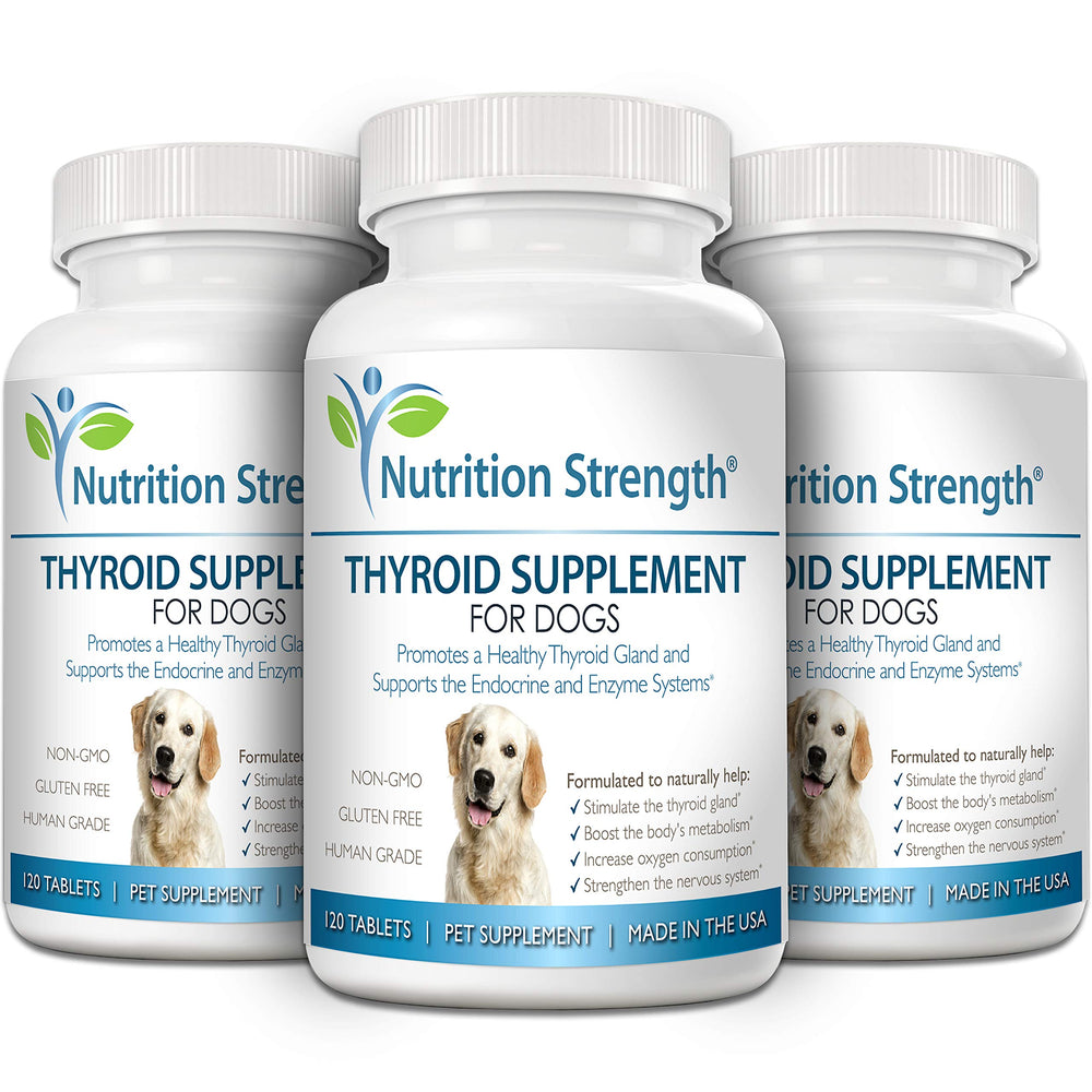 Nutrition Strength Thyroid dog ingredients blend highlights bladderwrack and adaptogens for balanced hormones.