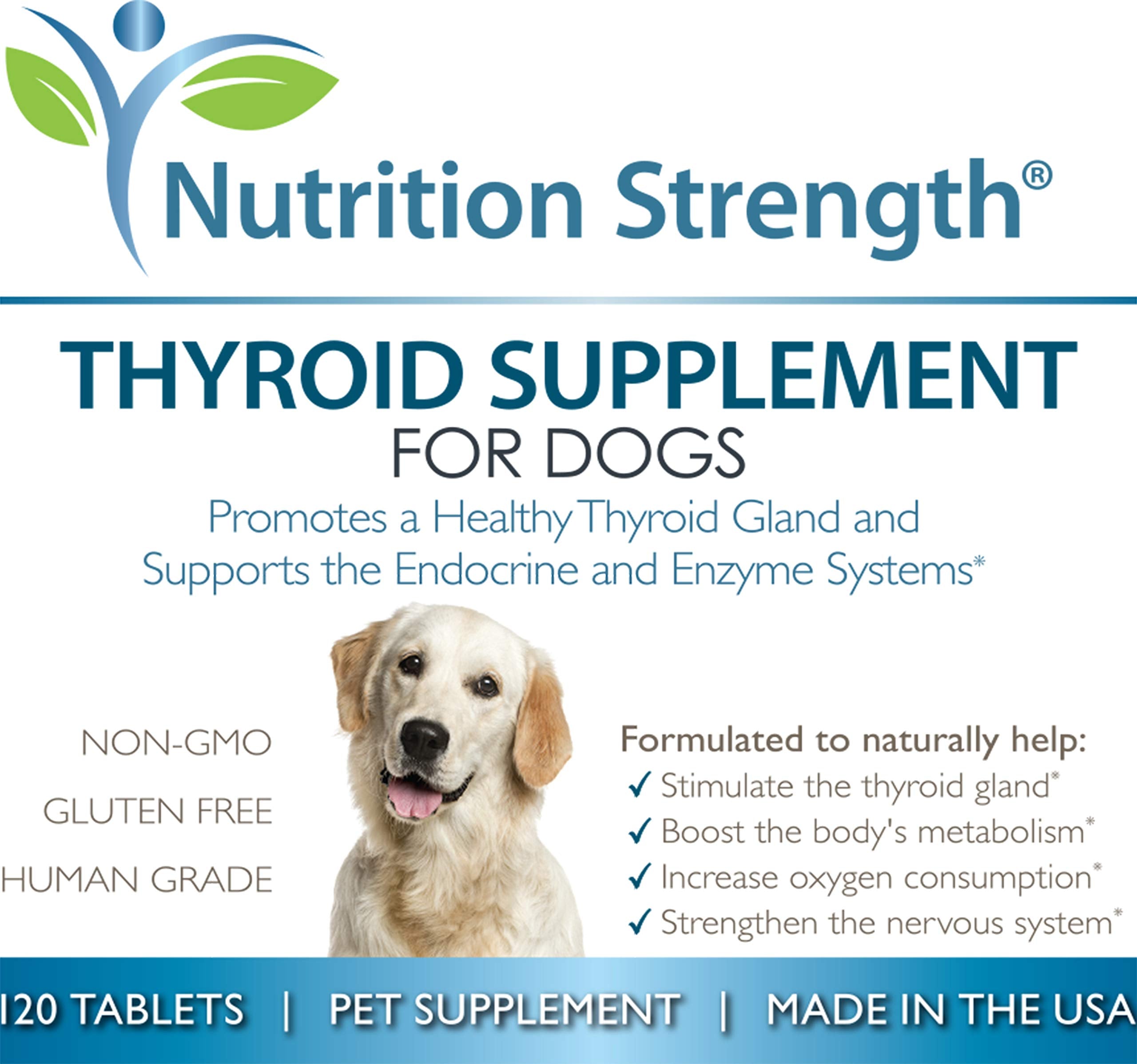 Nutrition Strength Thyroid dog use-scene shows pet peacefully enjoying a daily supplement routine.