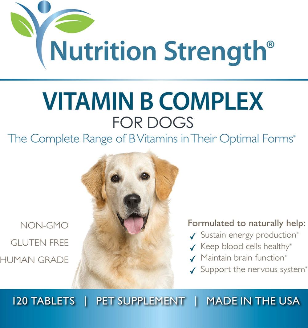 Nutrition Strength US-made dog vitamin B supplement packaging indicating high quality