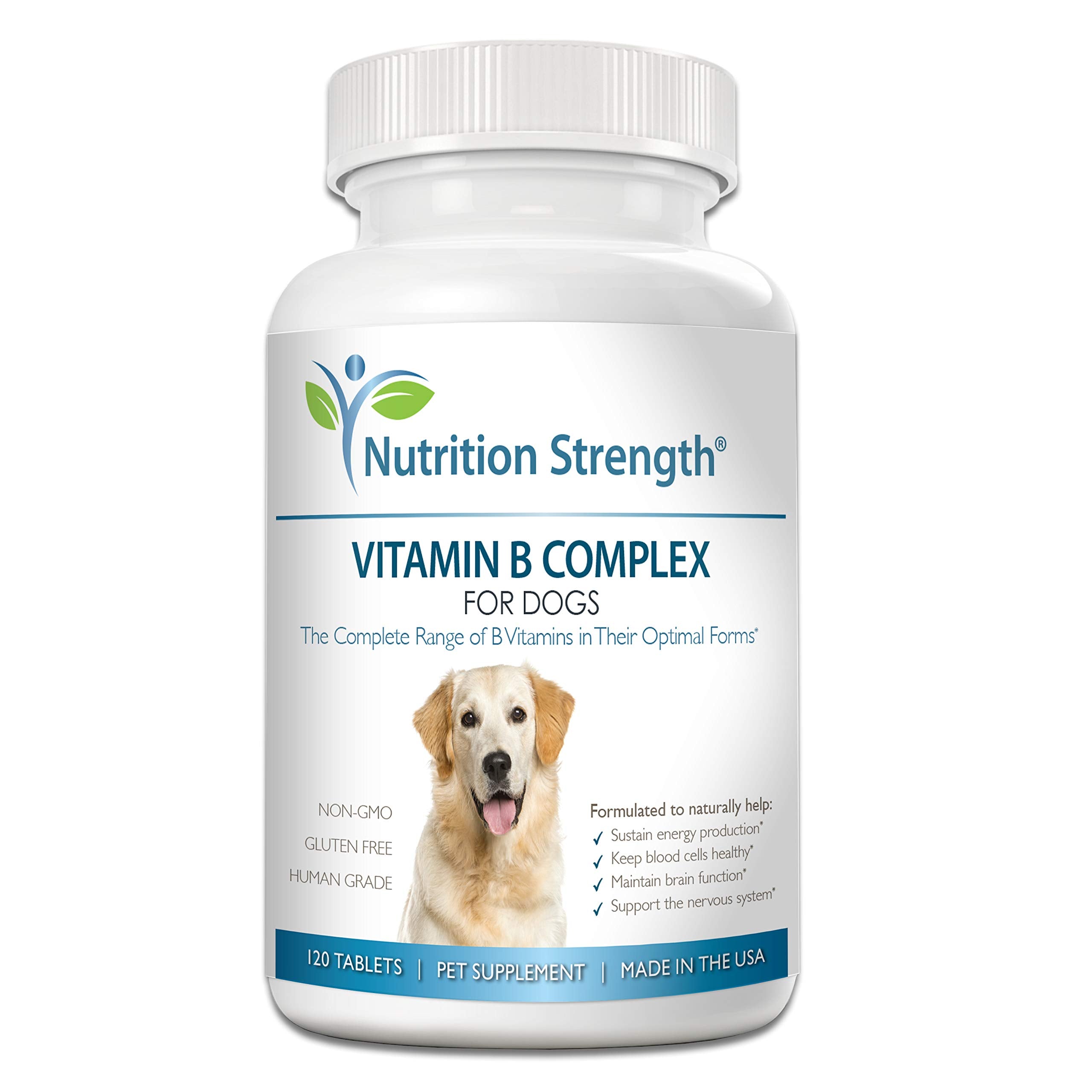 Nutrition Strength Vitamin B for Dogs bottle with chewable tablets supporting energy