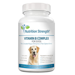 Nutrition Strength Vitamin B for Dogs bottle with chewable tablets supporting energy