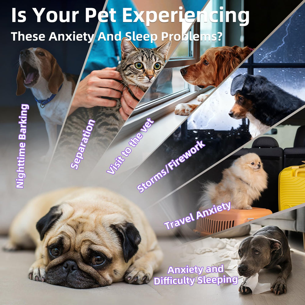 Nutrivio pet melatonin dropper dosing demonstrates quick, weight-based dosing for easy administration.
