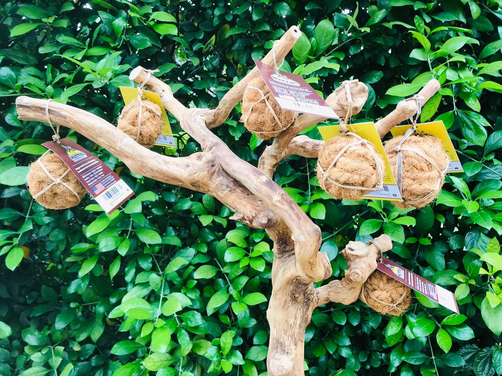 Nutties coconut fiber ball gradually breaks down over time, eco-friendly disposal option.