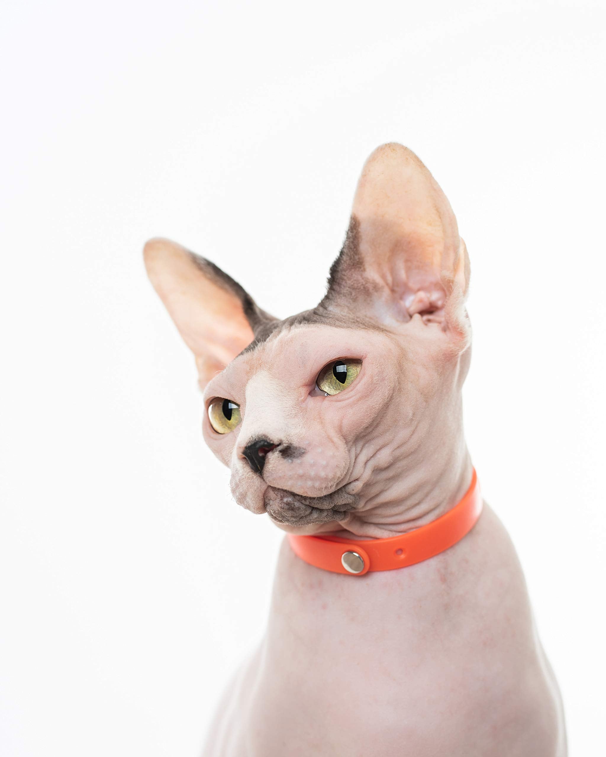 Nuvuq adjustable length fits growing kittens and adult cats.