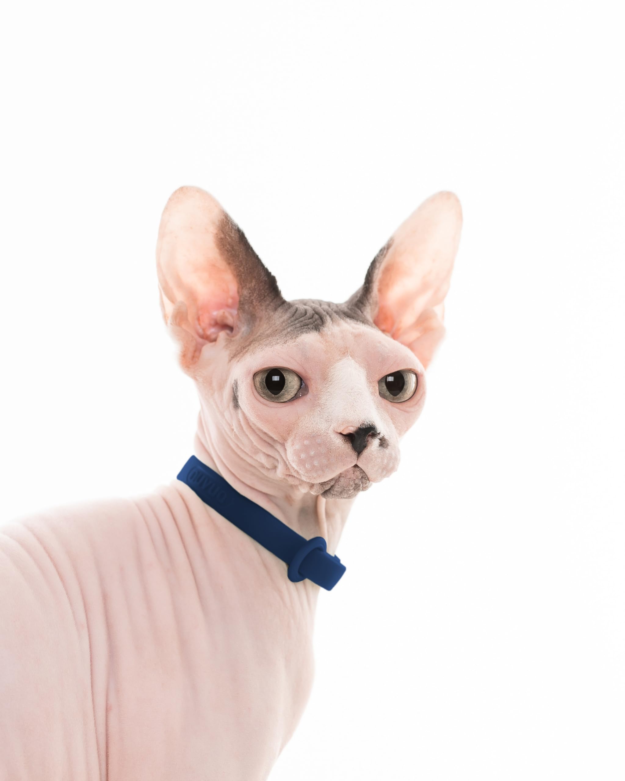 Nuvuq Break Away Collar dark blue built for daily wear safety