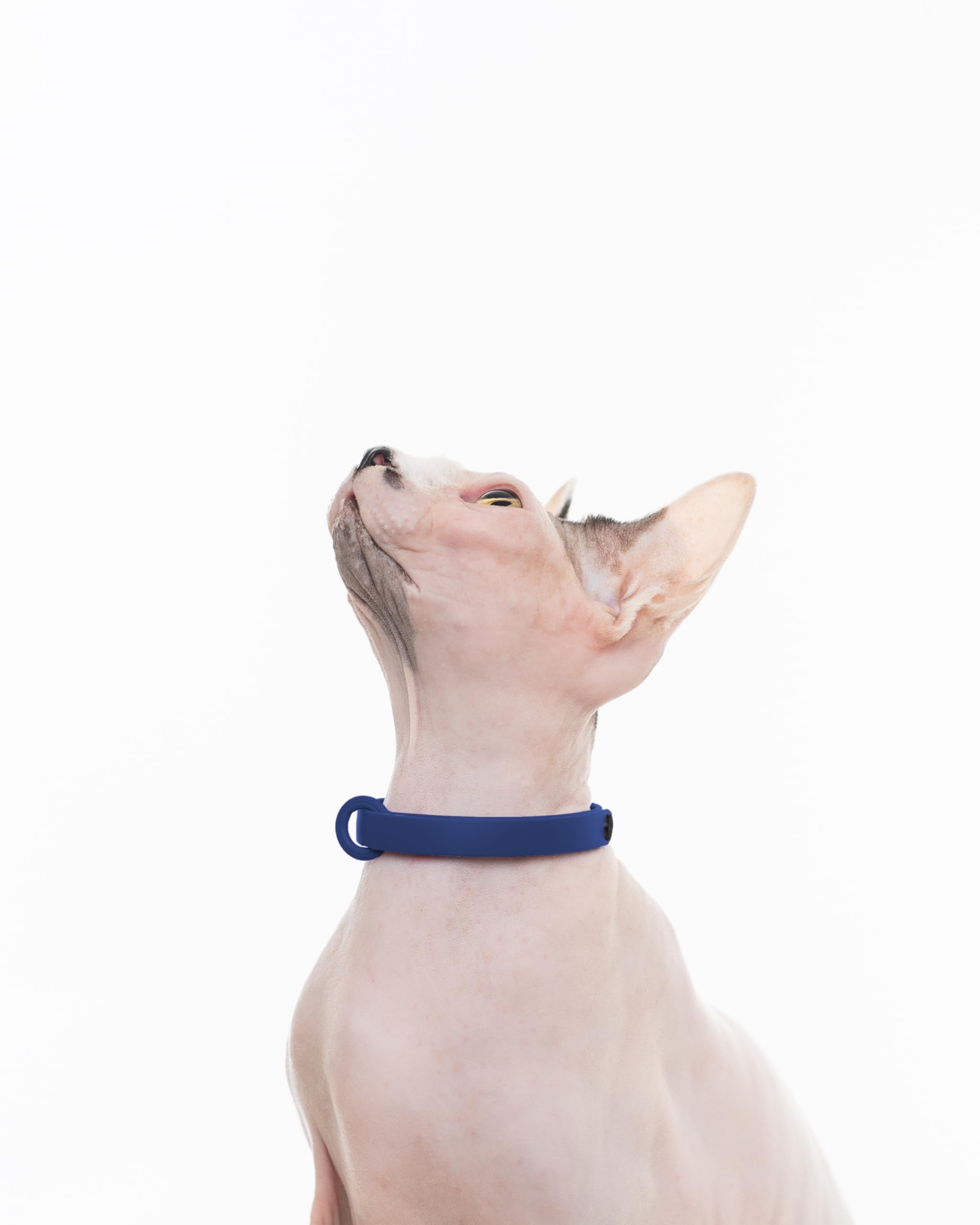 Nuvuq Break Away Collar dark blue scratch-resistant durability for long-lasting use