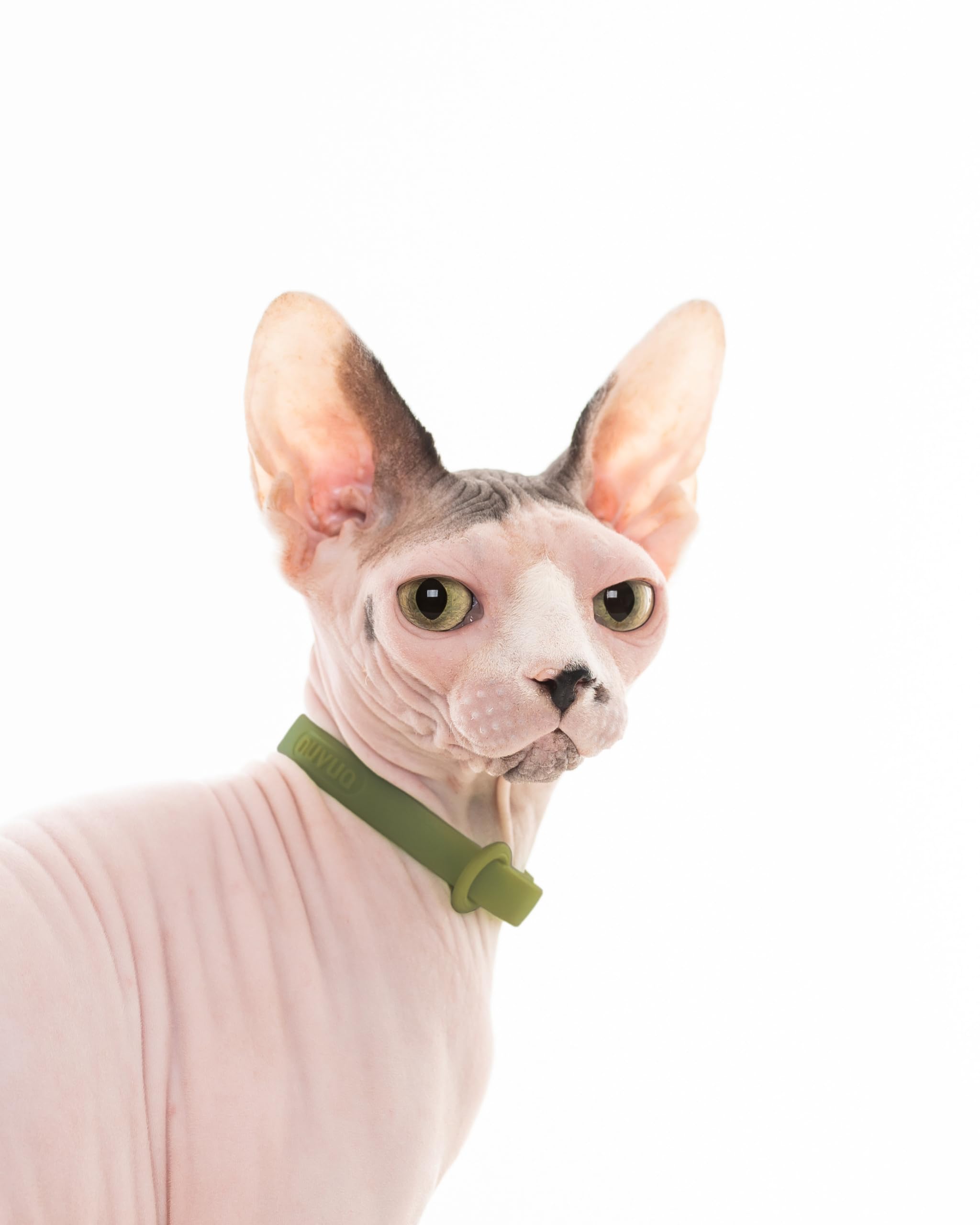 Nuvuq breakaway cat collar green showcases adjustable length for growing cats.