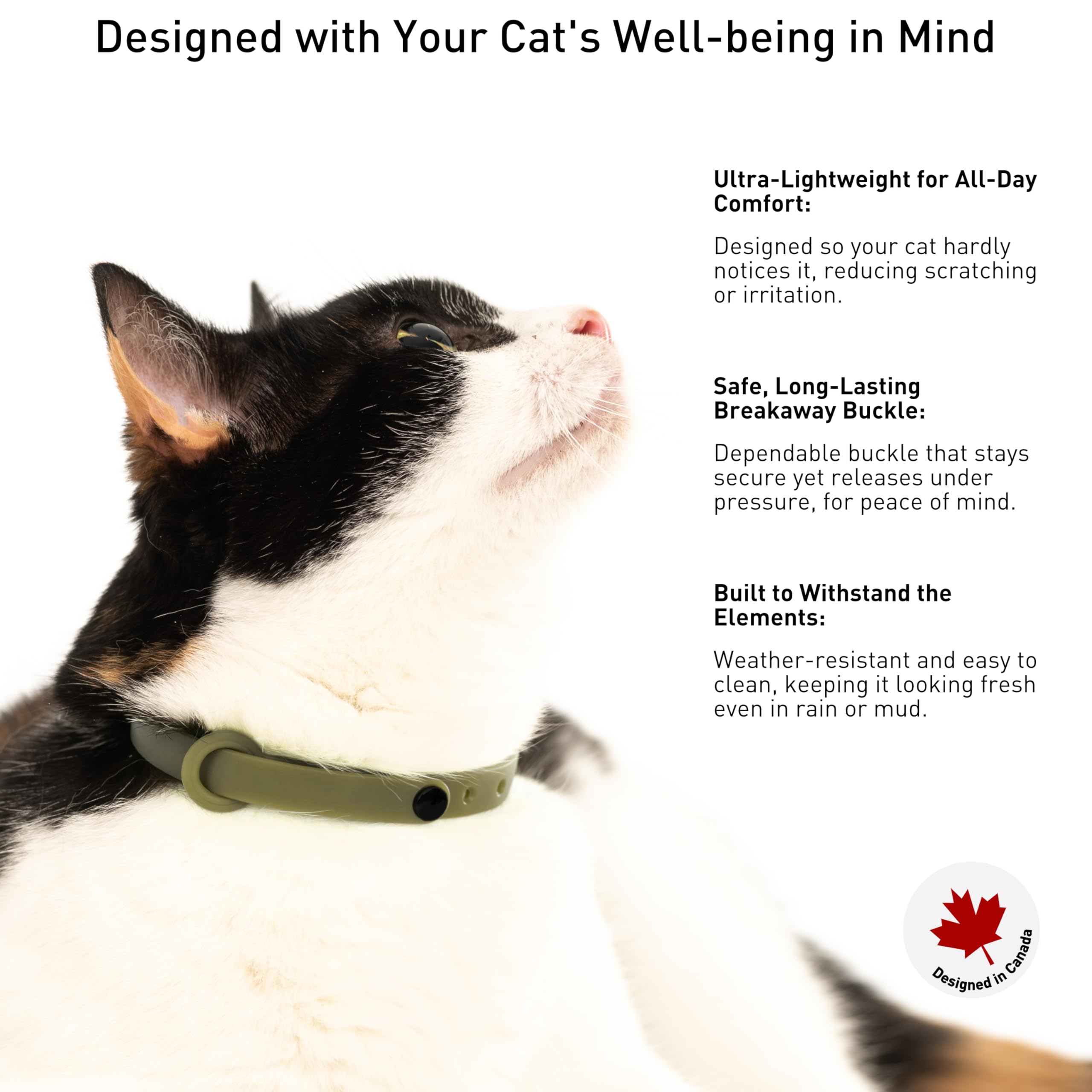 Nuvuq breakaway cat collar green features name tag ring for quick identification.