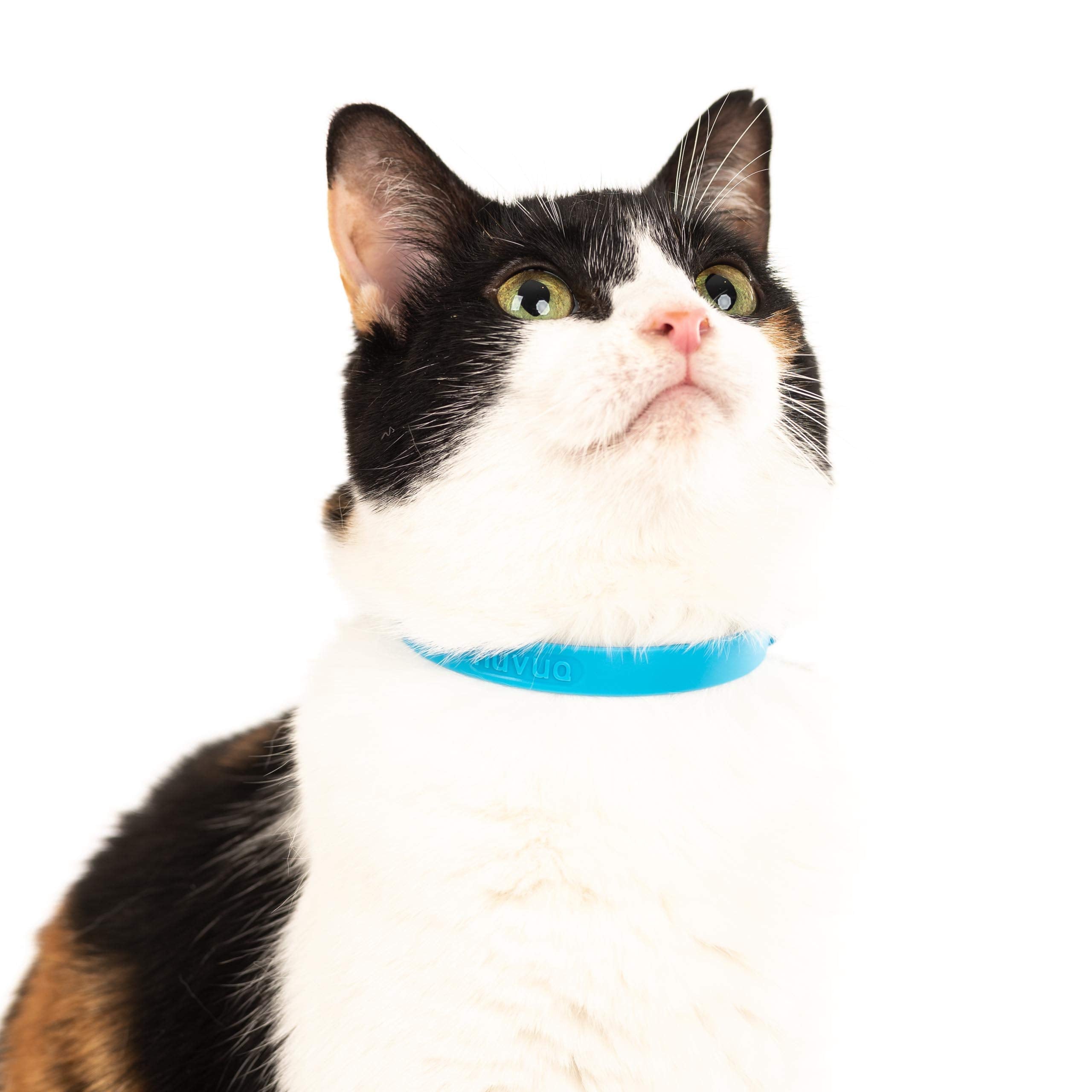 Nuvuq Breakaway Collar blue skin-friendly fabric ensures comfortable all-day wear.