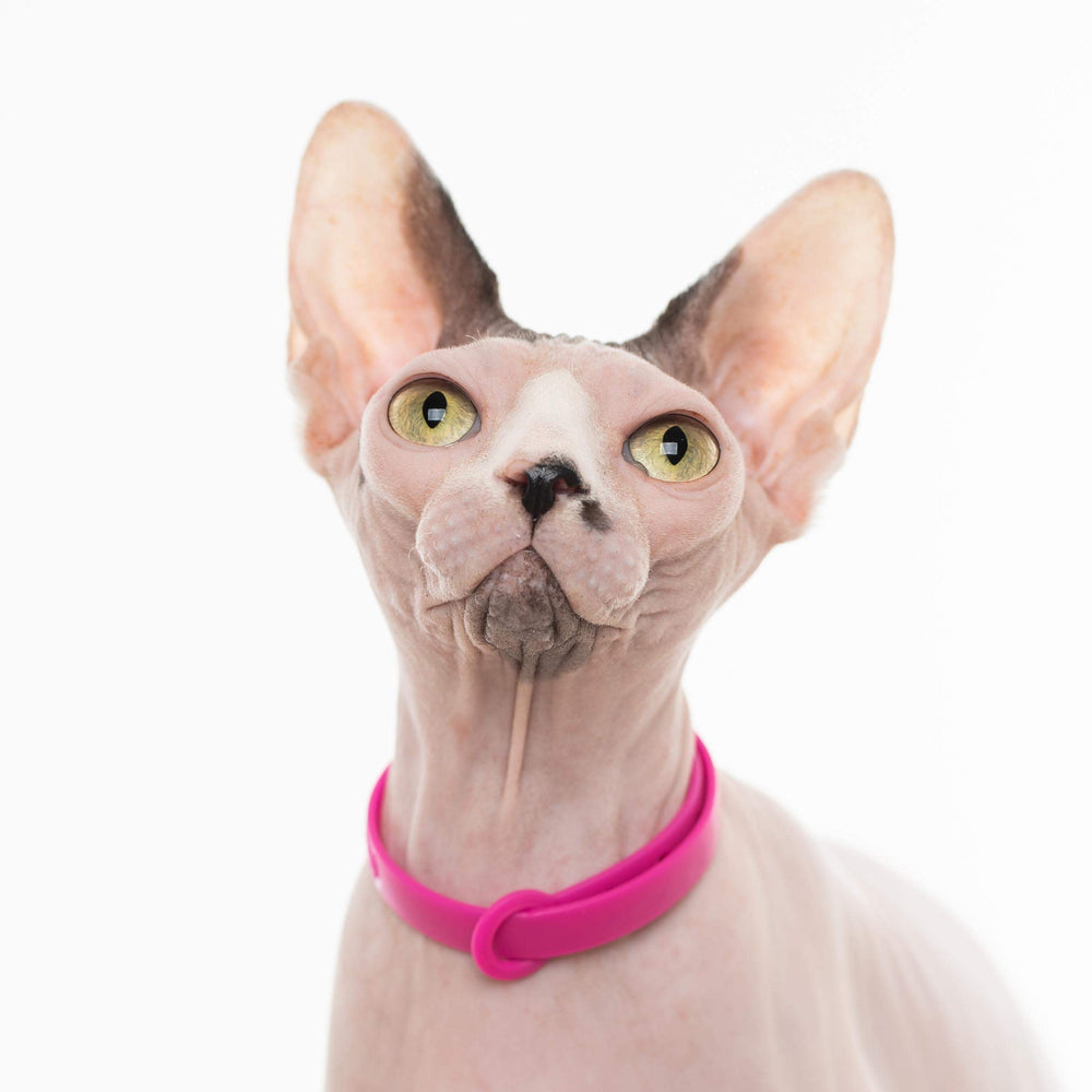 Nuvuq Breakaway Collar pink Canada-design and testing signals quality and safety.