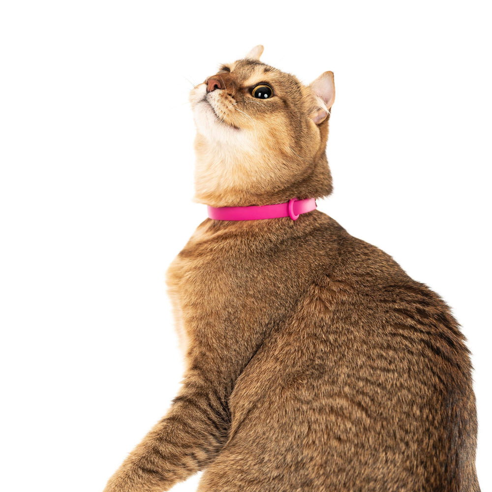 Nuvuq Breakaway Collar pink lightweight design supports comfortable all-day wear.