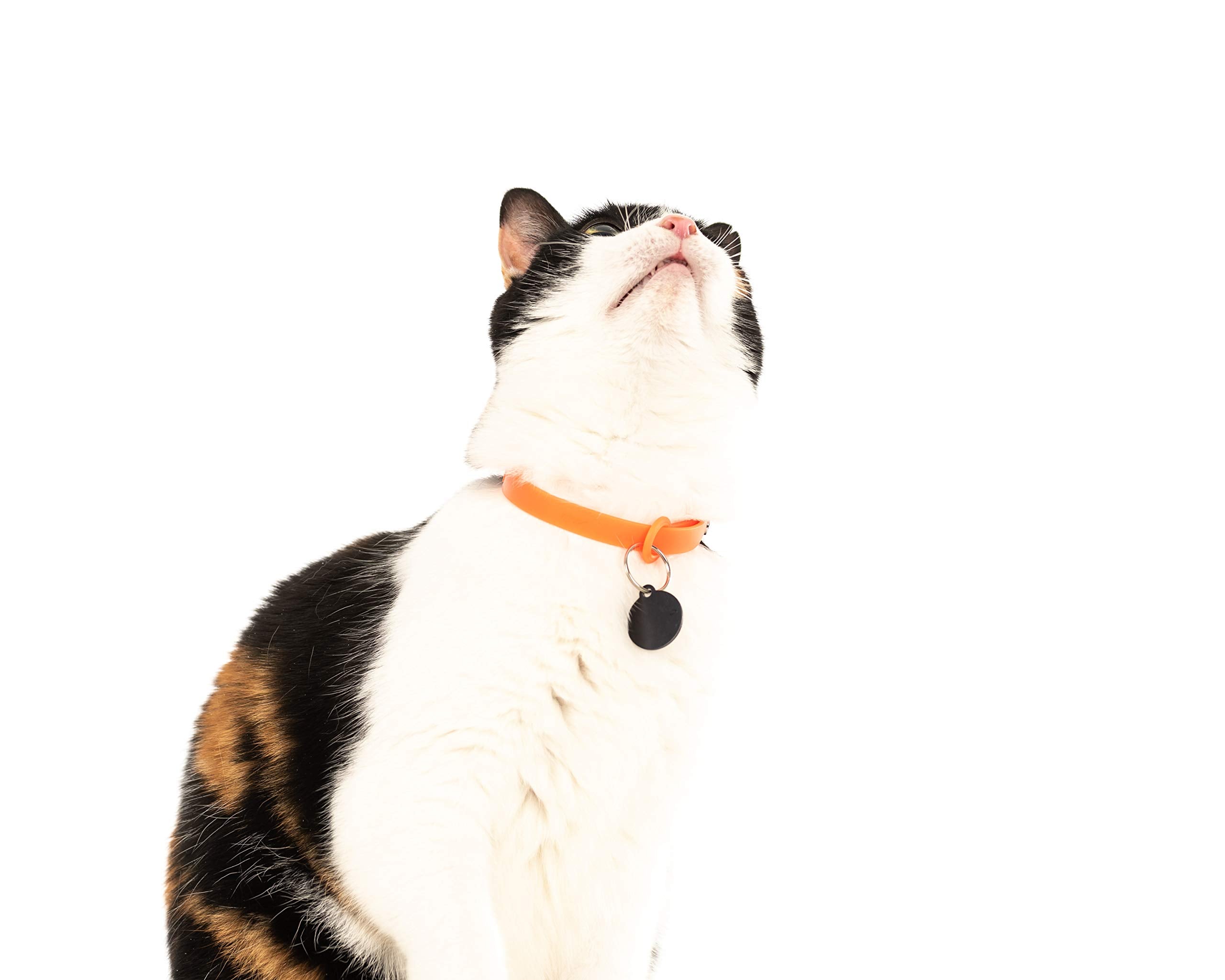Nuvuq Canadian-designed collar undergoes rigorous testing for quality.