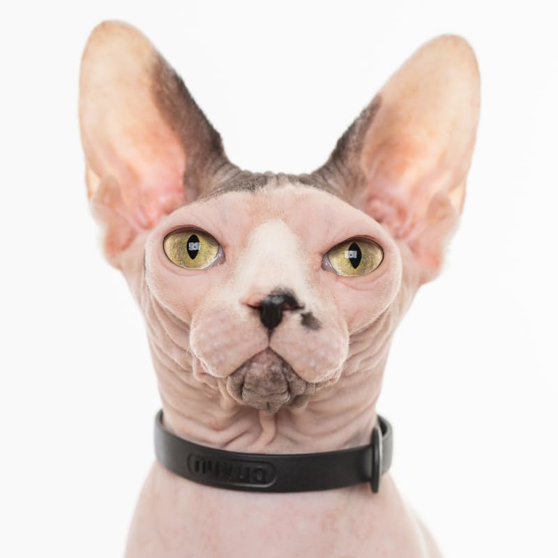 Nuvuq adjustable collar shows size range for growing cats.