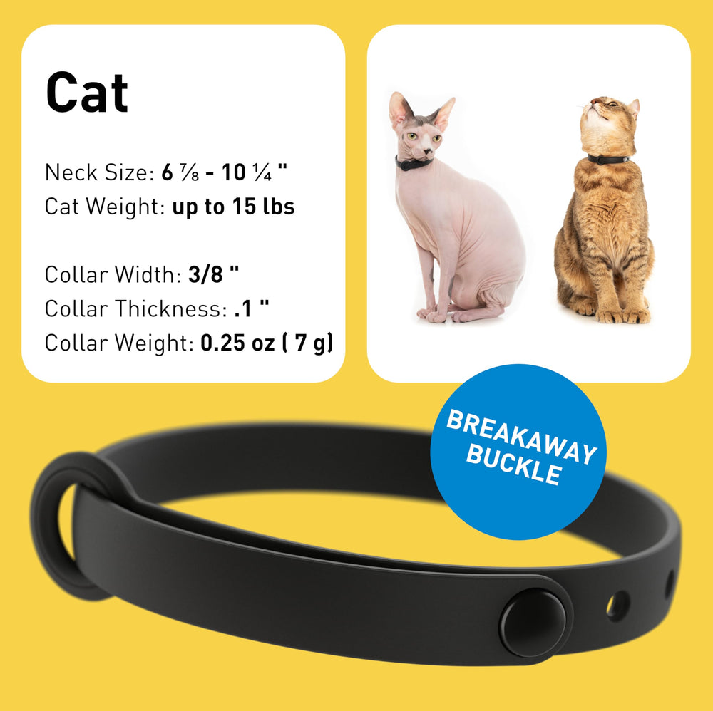 Nuvuq breakaway buckle demonstrates quick-release safety for active cats.